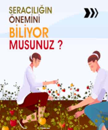 seraciligin-onemini-biliyormusunuz
