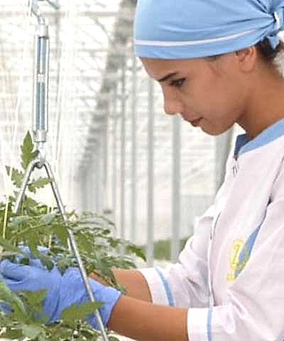 ozbekistan-sera-projemizden-kareler.