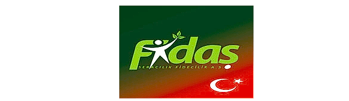 FİDAŞ FİDE