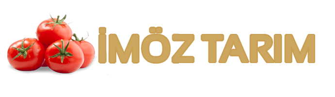 İMÖZ TARIM