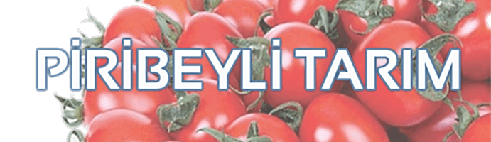 PİRİBEYLİ TARIM