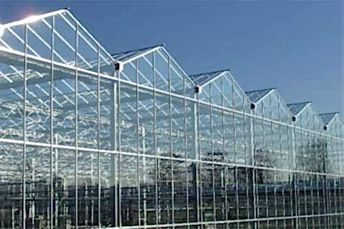 Venlo Tip Cam Seralar