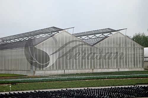 Geniş Açıklı Seralar